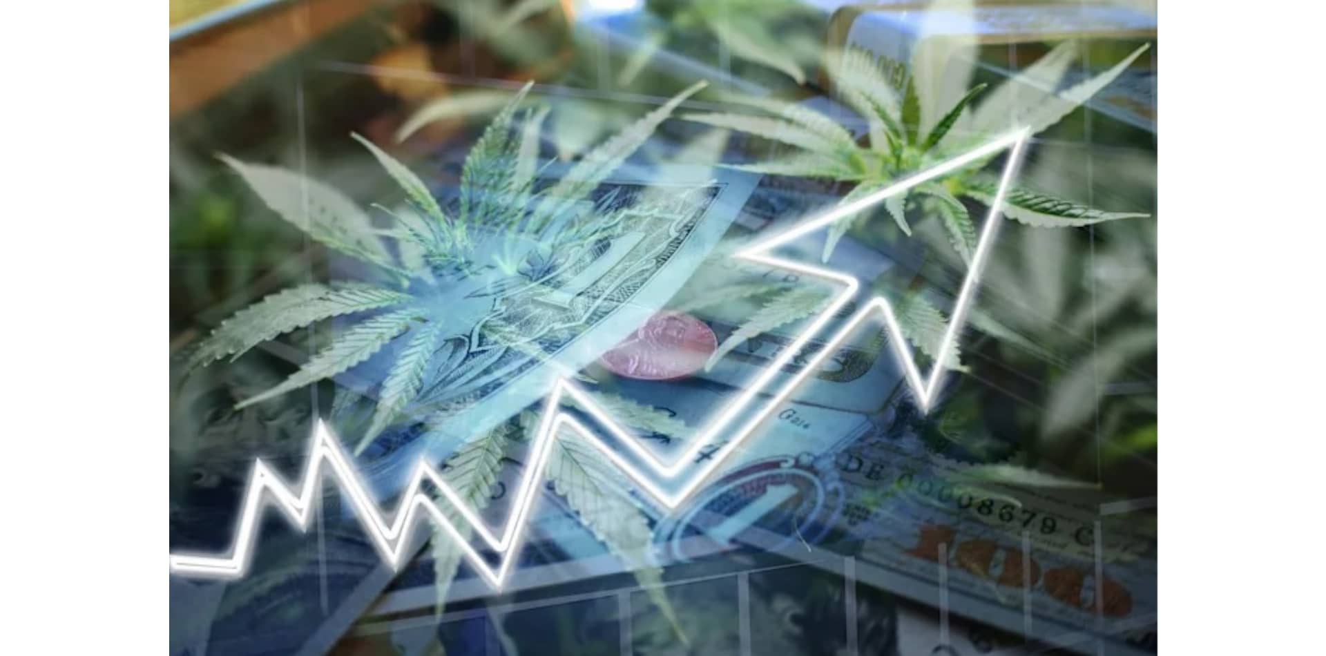 O Reino Unido registará o maior crescimento do mercado de canábis medicinal na Europa entre 2020 e 2025