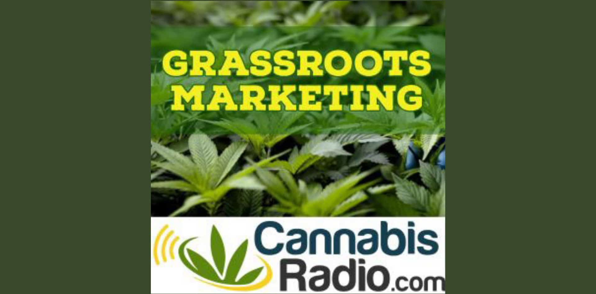 Cannabis farmacêutica e a influência da grande indústria farmacêutica - Grassroots Marketing