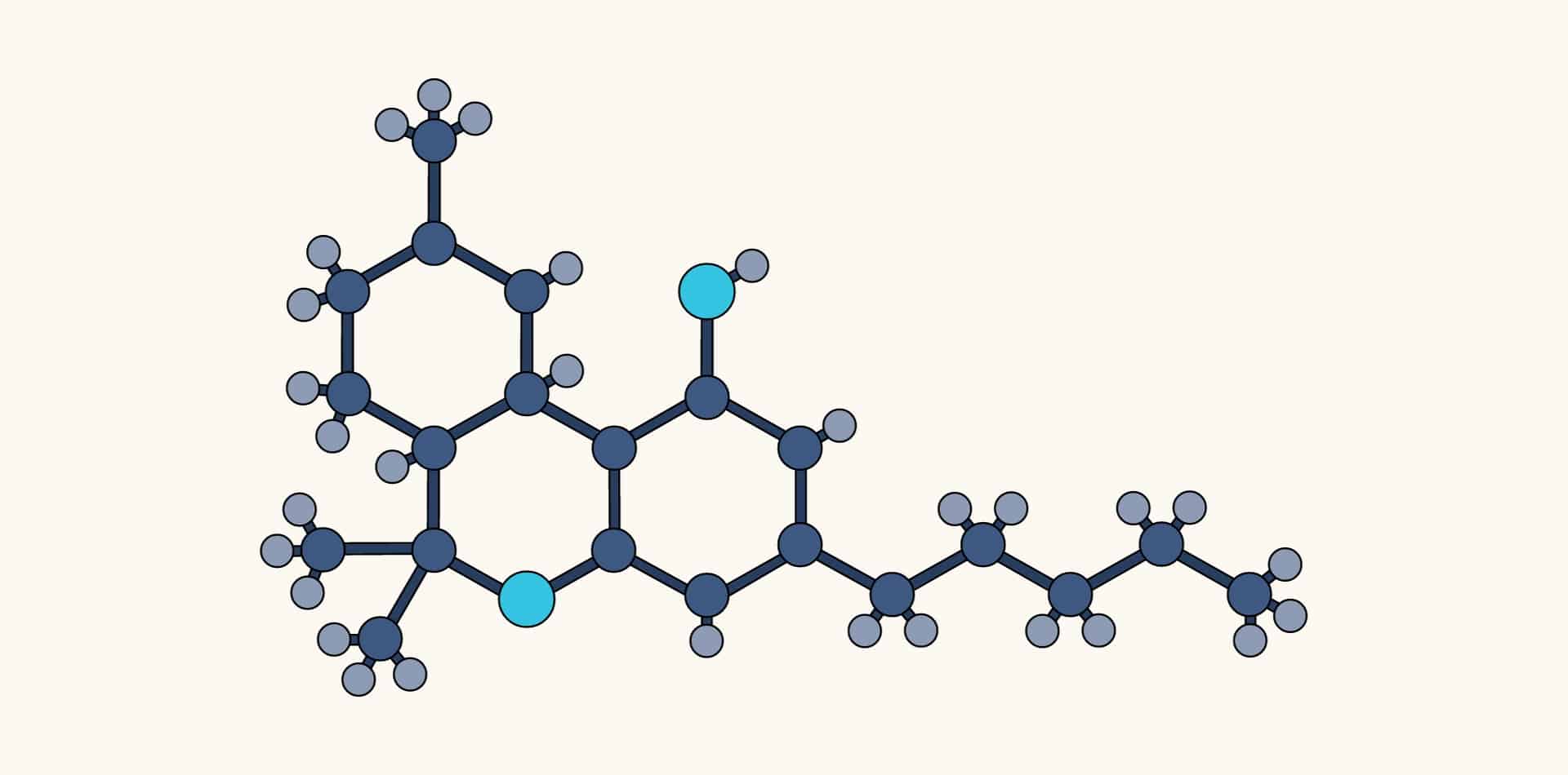 How Does Medicinal Cannabis Work?