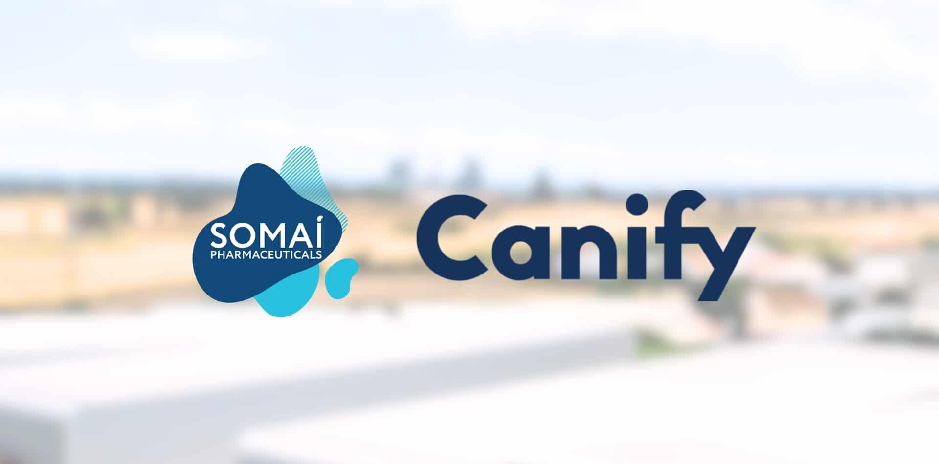 A SOMAÍ Pharmaceuticals e a Canify anunciam a sua parceria para introduzir uma linha de produtos à base de canabinóides na Alemanha