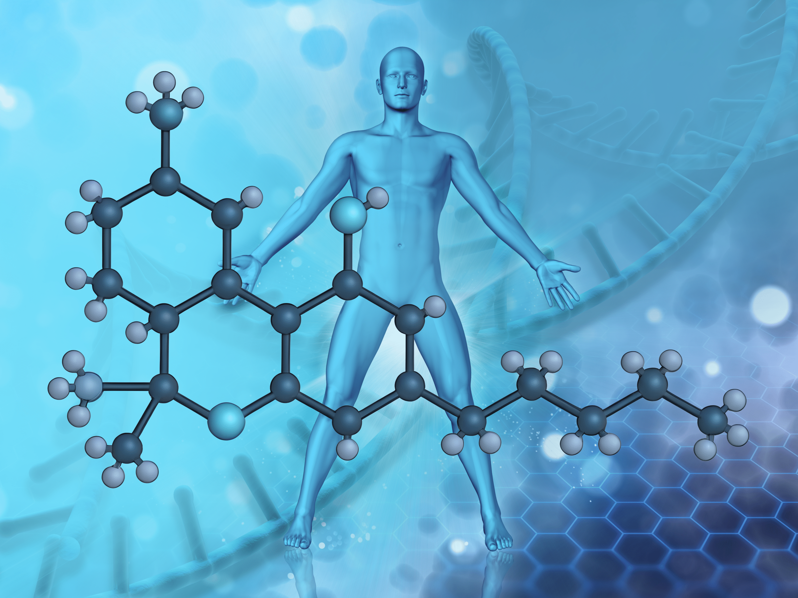 Desmistificar o THC: como funciona o tetrahidrocanabinol no organismo