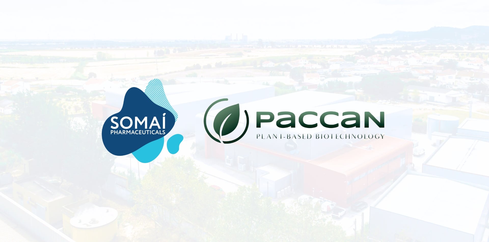 SOMAÍ Pharmaceuticals and PACCAN Join Forces to Transform Medicinal Cannabis in Asia and Beyond