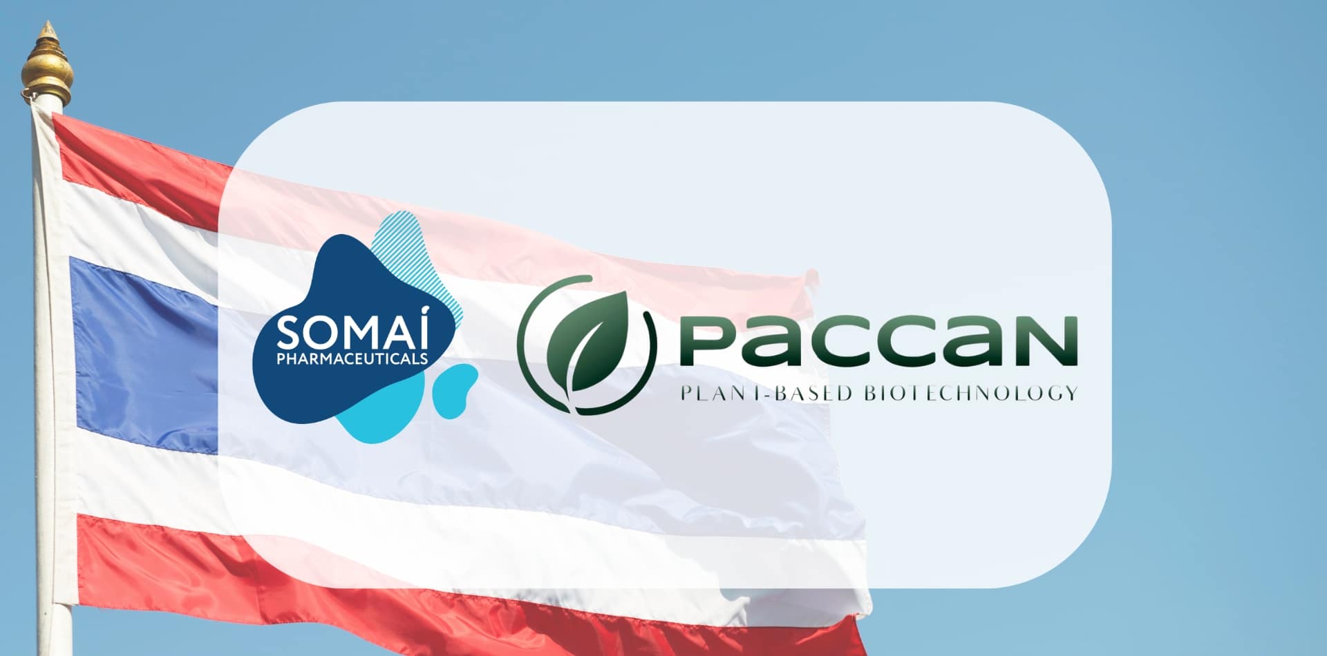 A SOMAÍ Pharmaceuticals e a PACCAN unem forças para transformar a canábis medicinal na Ásia e no resto do mundo