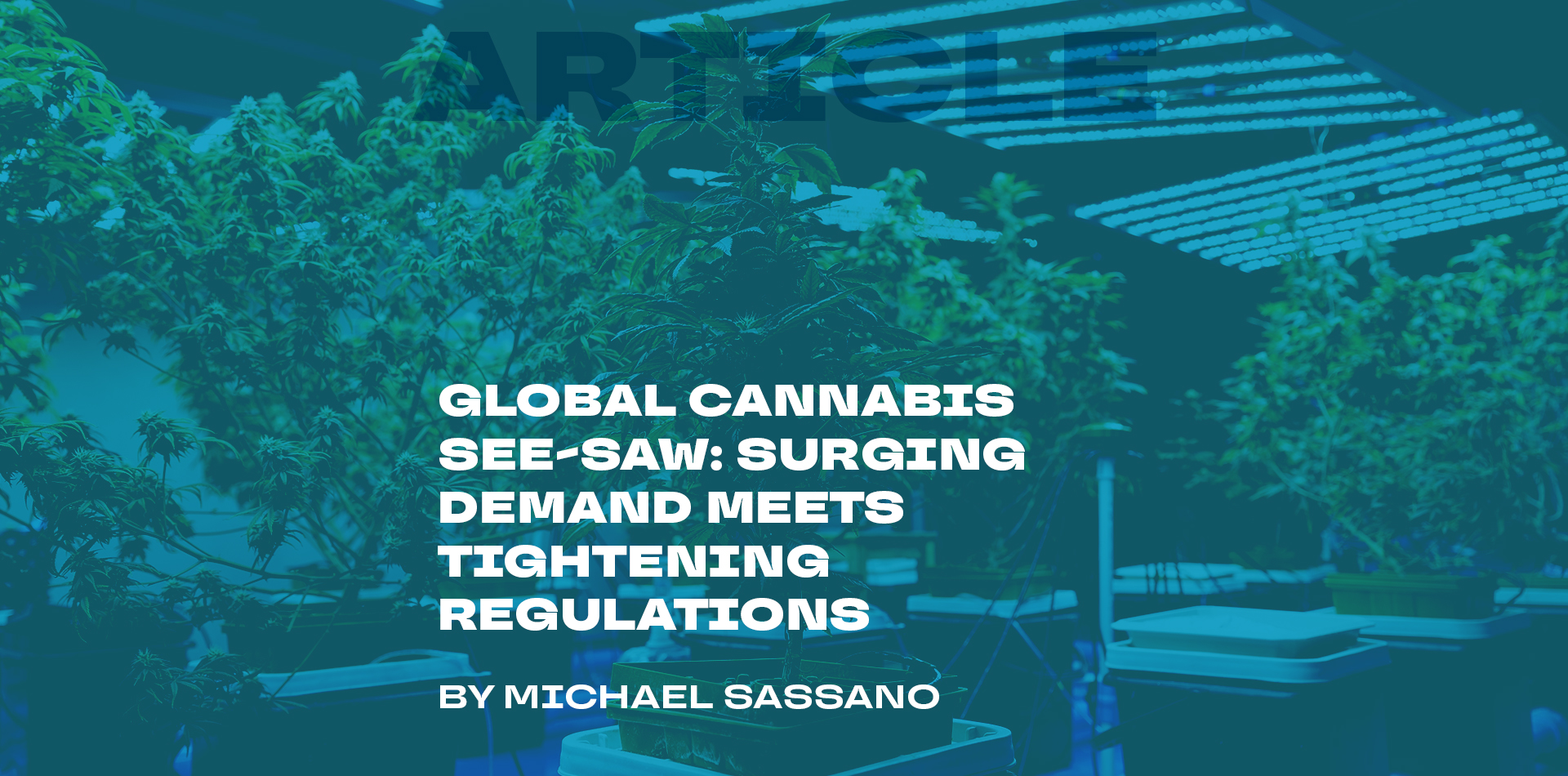 Global Cannabis See-Saw: Surging Demand Meets Tightening Regulations